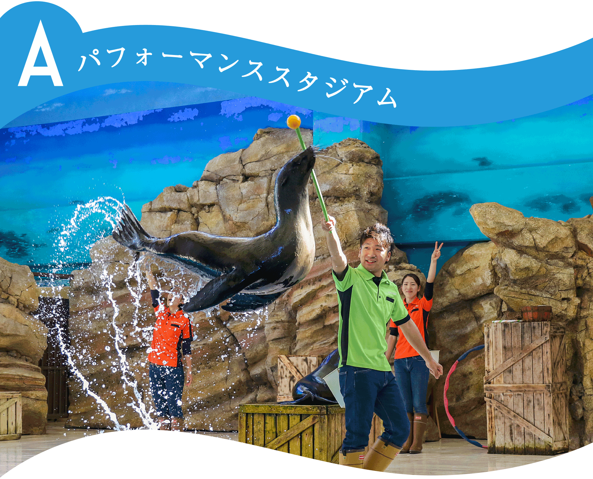 Aパーフォーマンススタジアム