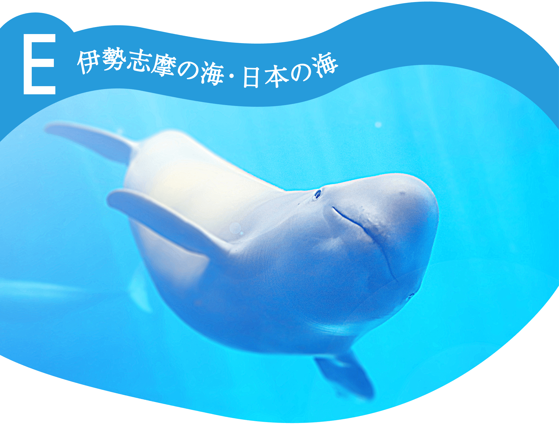 E伊勢志摩の海・日本の海