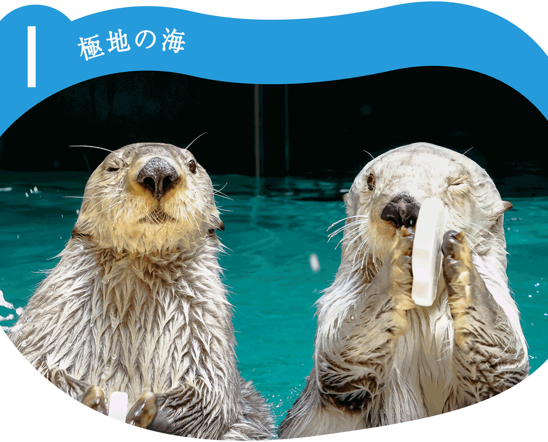 I極地の海