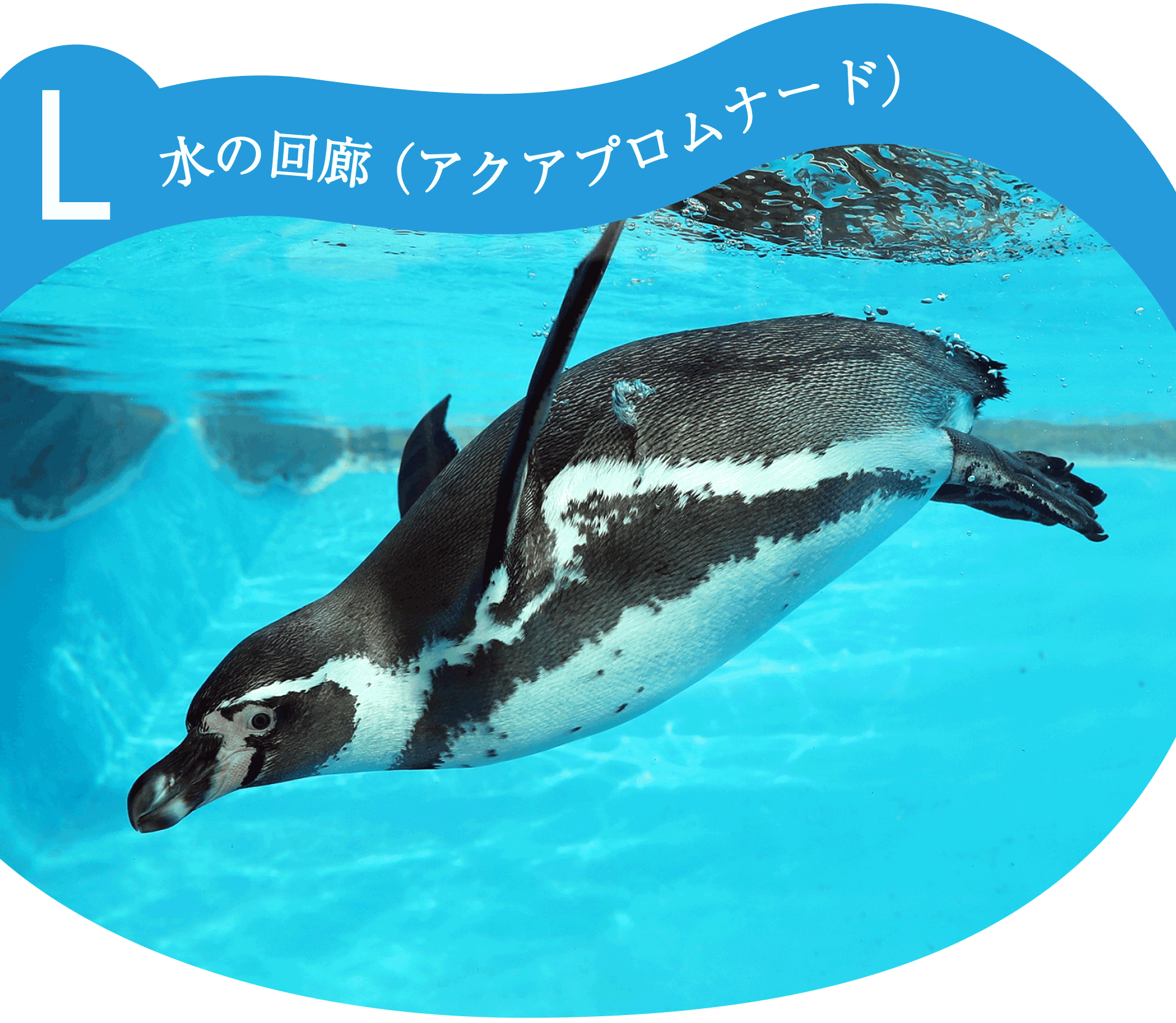 L水の回廊（アクラプロムナード）