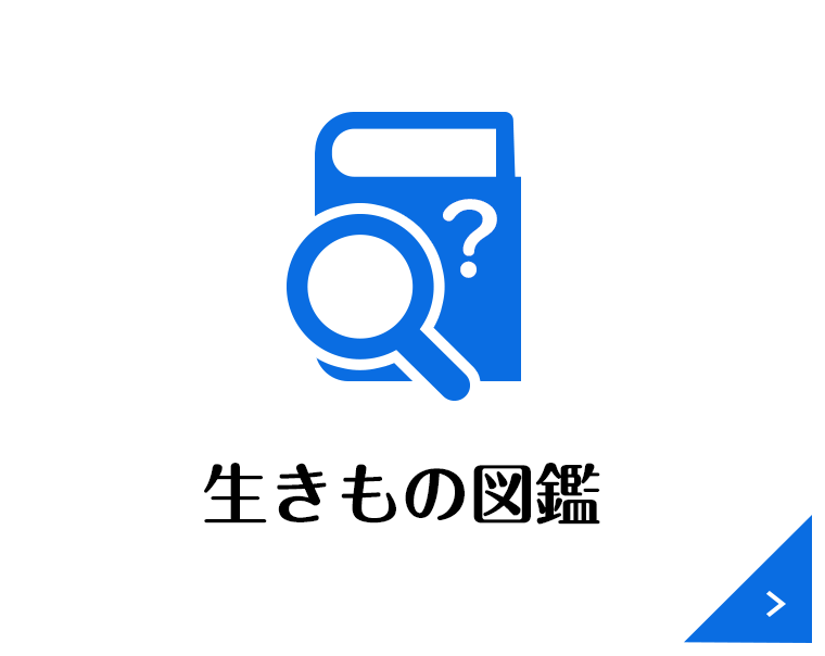 生きもの図鑑