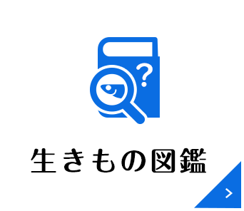 生きもの図鑑