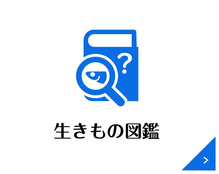 生きもの図鑑