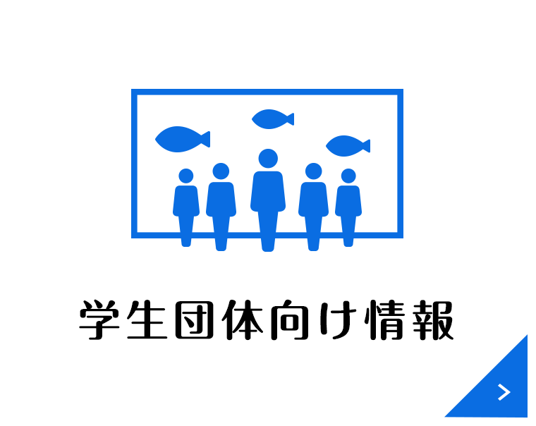 団体（一般・学生）向け情報