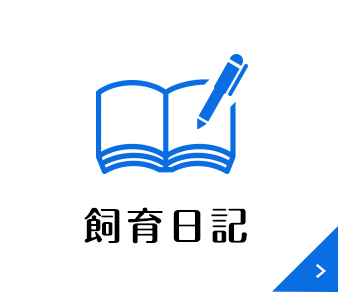飼育日記