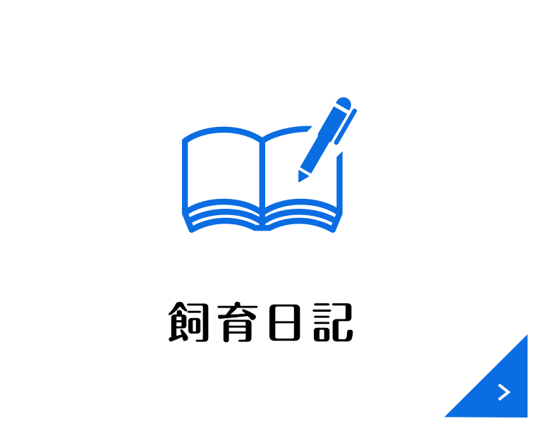 飼育日記
