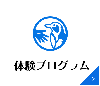 体験プログラム
