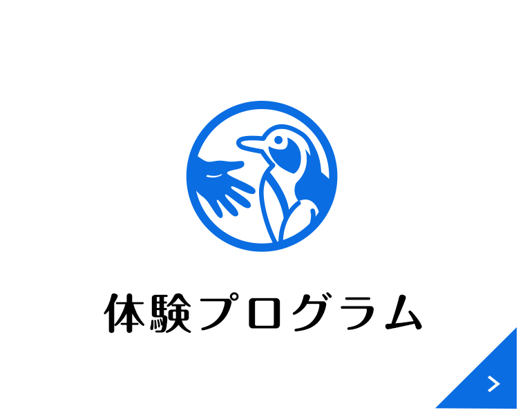 体験プログラム