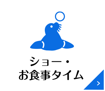 ショー・お食事タイム