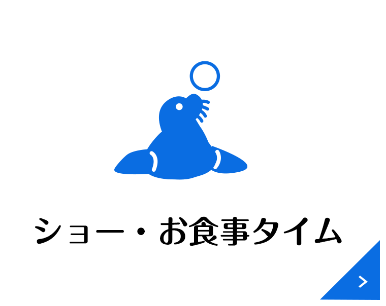 ショー・お食事タイム