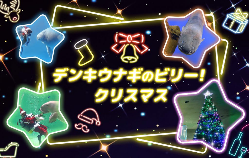デンキウナギのビリー！クリスマス