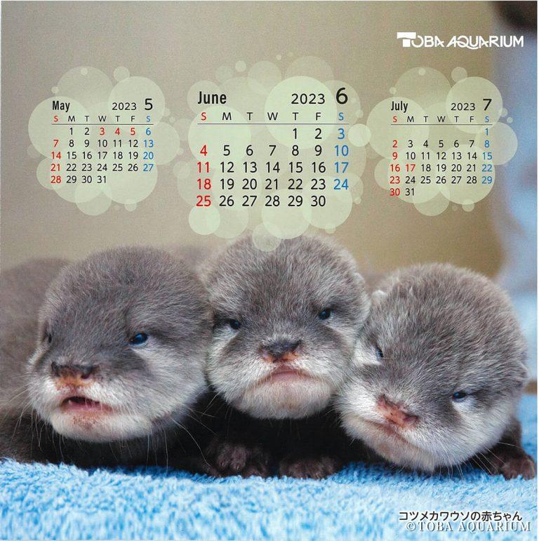 カレンダー6月写真面