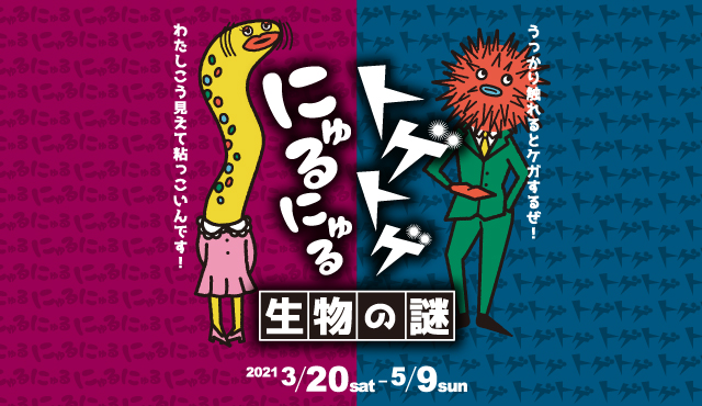 春の企画展「にゅるにゅるトゲトゲ生物の謎」