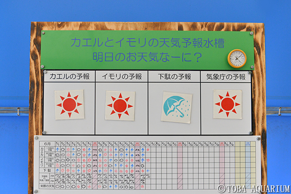 昨年の様子