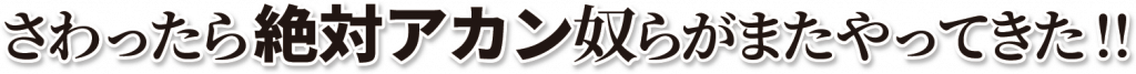 さわったら絶対アカン奴らがまたやってきた!!