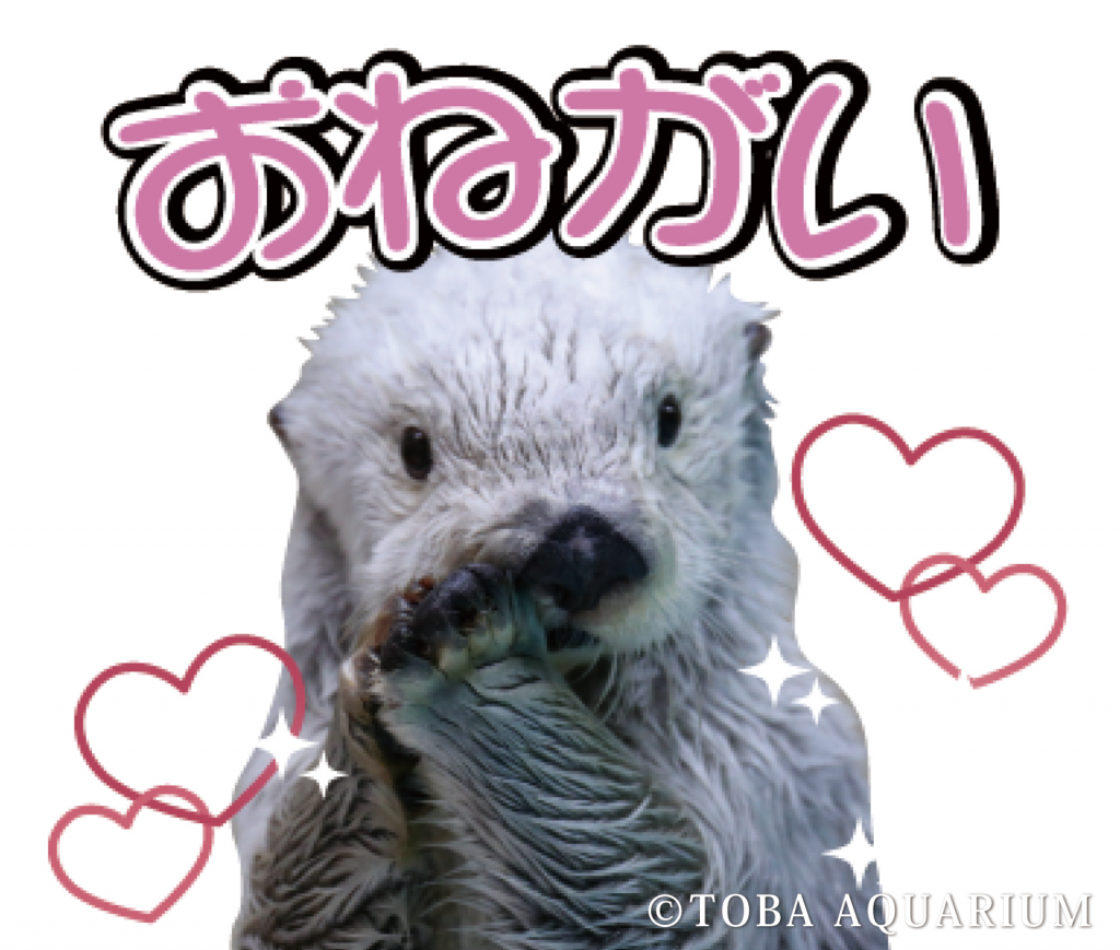 おねがい