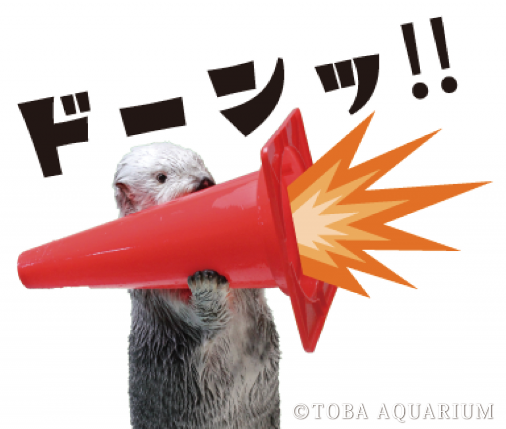 ドーンッ‼