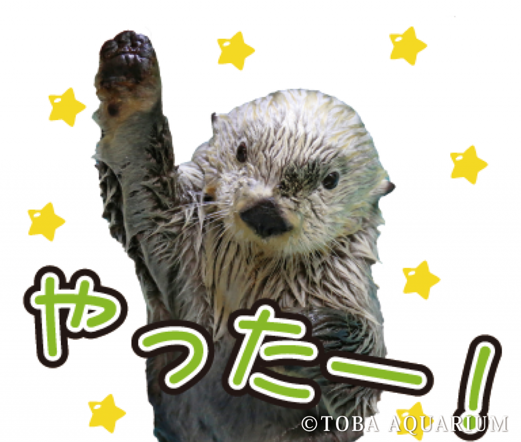 やったー！