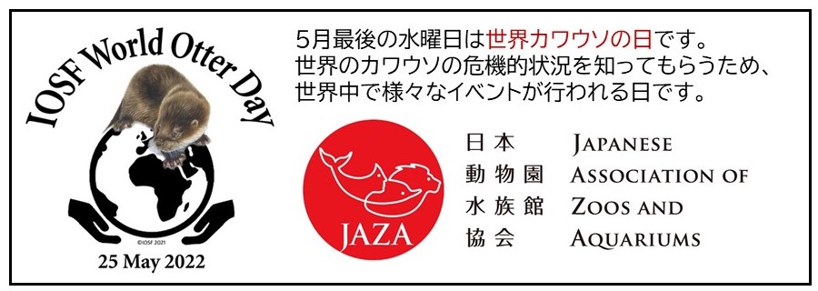 世界カワウソの日
